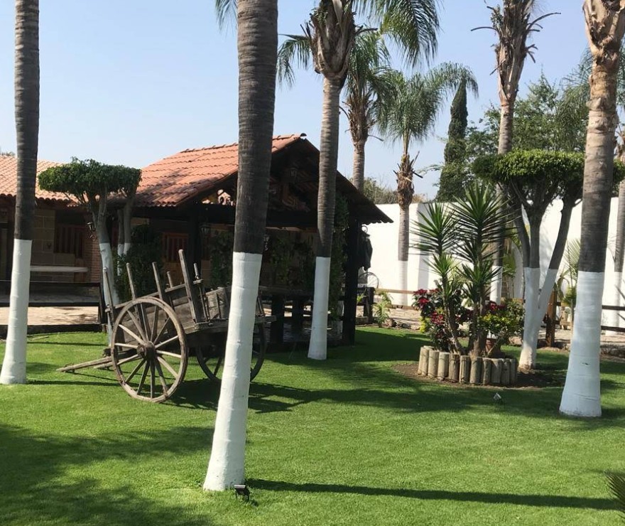 JARDINPRINCIPAL2