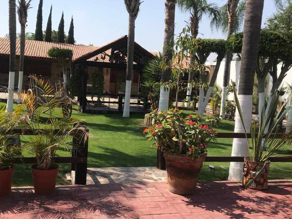 JARDINPRINCIPAL3